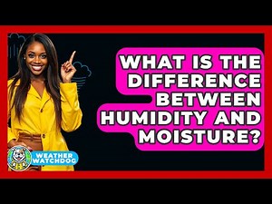 What Is The Difference Between Humidity And Moisture? - Weather Watchdog