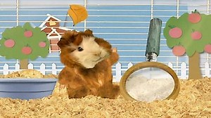 Watch Wonder Pets Season 2 Episode 3 - Save the Gecko!/Save the What?