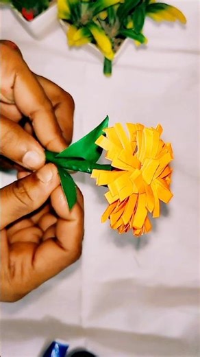 pepar marigold flower 🌺#trending #song #viral #trendingshortvideo