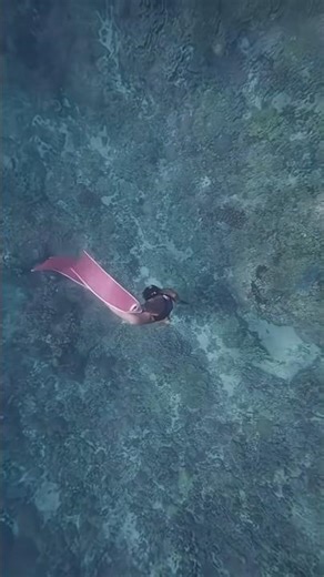 #freediving #underwater #beach #swimming #music #travel