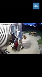 Golden Retriever Pulls Owner Away Moments Before Propane Tank Explosion #AnimalRescue #Wildlife #CatVsBear #MomCat #RescueAnimals #Nature #WildlifeRescue #ViralAnimal #WildlifeDrama #SaveTheAnimals #MotherInstinct #CatHeroes #NatureFight | America’s Wild Rescue