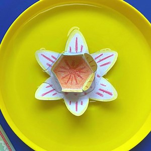 Can you make a flower bloom in water? Our NEW Rainbow Lab - Playing with Colour can show you how ️ . Perfect for the upcoming school holidays to keep busy kids learning in new ways. There's 23 more experiments in this awesome activity set.  Shop now: https://bit.ly/2NTapAJ | Tiger Tribe | Facebook