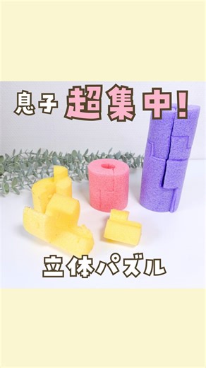 みぃ⌇簡単マジック&おうち実験 on Instagram: "@mii_asobi03 👈他の投稿もあるよ〜 保存して作ってみてね✂️ ⁡ ＝＝＝＝＝＝＝＝＝＝＝＝＝＝＝＝＝ •家だとゲームやテレビばかり… •普通のパズルもう飽きた… •今日なにしよう… ⁡ そんなとき、ぜひ作ってみてね☺️⭐️ ⁡ 子どもに合わせてパズルの難易度が変えられるから、幅広い年齢の子が遊べるよ☺️ ⁡ 8歳息子は1番難しい紫パズルに苦戦してたけど、諦めずに最後まで集中してたよ✨ ⁡ 5歳の娘は簡単な3個の立体パズルを何回もやってたよ☺️🩷 ⁡ =========================== 〔使うもの〕 •プールスティク（セリア） •油性ペン •包丁またはカッター ⁡ ⚠️プールスティクを切るときは、必ず大人の人がやってね。 ========================== みぃです！見に来てくれてありがとうございます😊🌈 ⁡ 親子の楽しい思い出が１つでも増えますように…と願いながら作品を投稿しています🩷 ⁡ 〔フォロー〕〔いいね〕とっても嬉しいです🥹✨ ＝＝＝＝＝＝＝＝＝＝＝＝＝＝