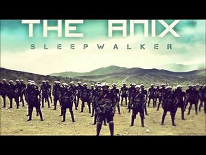The Anix - In The End