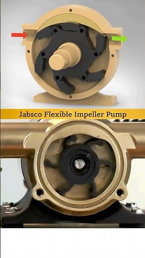 Flexible Impeller Pump - Working 3D Animation 😍✅