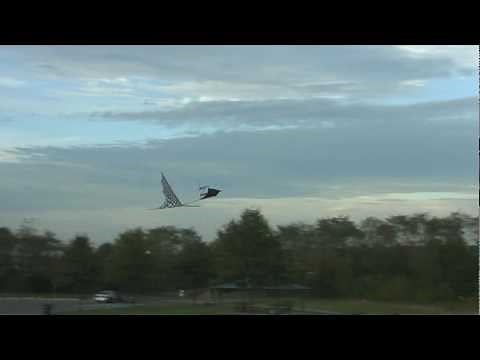 Premier RC - Vector Kite Canard.mpg