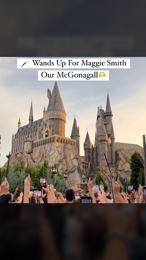 Mel Robbins | Everyone in our family is a huge Harry Potter fan… I love how they are paying tribute to Maggie Smith 🥹🪄 Source: @misswizardingworld /... | Instagram