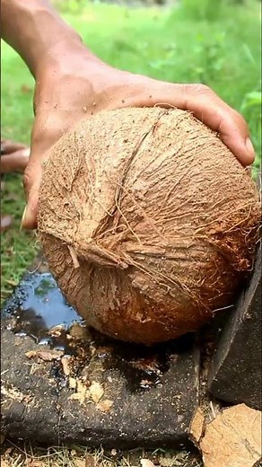 New technique removing round coconut
