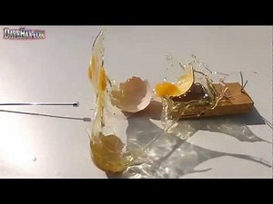 Egg Explodes in Mouse Trap Slow Motion GoPro 120 fps