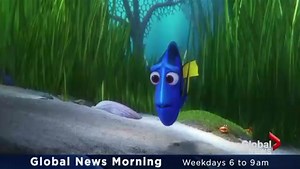 Finding Dory