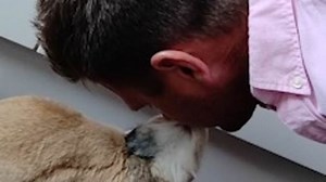 This friendship between a man and his bunny will melt your heart