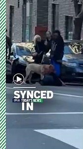 In the news: Dog attack, Elizabeth Holmes documentary, surprise sendoff from Steve Young