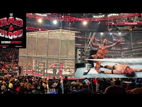 Witnessing History: CM Punk's Victory Over Drew McIntyre at WWE Bad Blood 2024