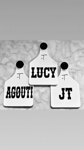 •Cattle •Sheep •Hogs •Bags •Stall Markers Laser engraving these poly ear tags bring more color, personality and longevity to meet your need! Think outside the box. #Ritchey tags. | Ozark Laser Design