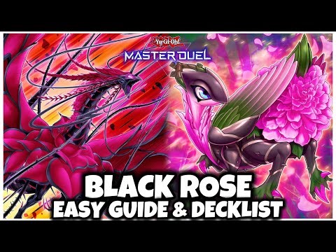 UPDATED | BLACK ROSE | EASY GUIDE & DECKLIST!