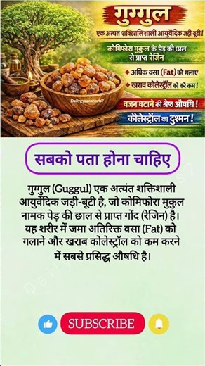 #motivation #shortsfeed #jayakishoribhajan #quotes