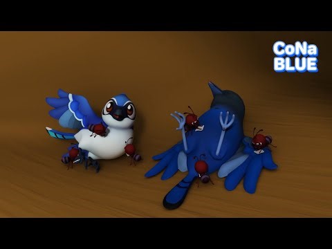 Children's Cartoons | Blue Jay and Ants | CoNaBlu |S |EP03