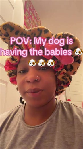 Exciting Journey of a Dog Mom and Her New Puppies