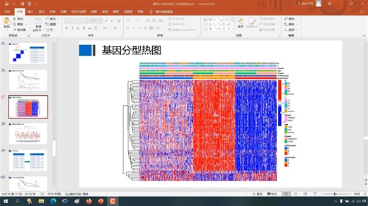 33.基因分型热图(pheatmap R包)