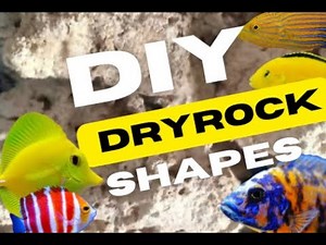 AQUARIUM DRYROCK TOO EXPENSIVE? : try these DIY ROCK shapes!!