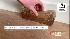 Humane Mouse Traps Indoor for Home Live Mouse Trap Catch and Release Mouse Traps Indoor Humane No Kill Mice Trap for House Indoor Reusable Mousetrap Trap Rat Trap Rodent Trap Alternative to Bucket