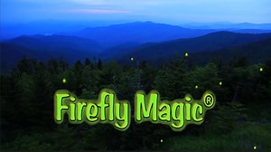 Watch Firefly Magic -  Great Smoky Mountains on Amazon Live