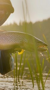 The greatest fishing SALE on earth is here! Join us for the Spring Fishing Classic! *Gear up for Spring Fishing! *Our BEST deals on boats all year! *Trade that old Rod or Reel in to save up to $100 on a new one! * Special Deals for CLUB Members! Click the link to shop now! https://bit.ly/3PaQQjs | Cabela's