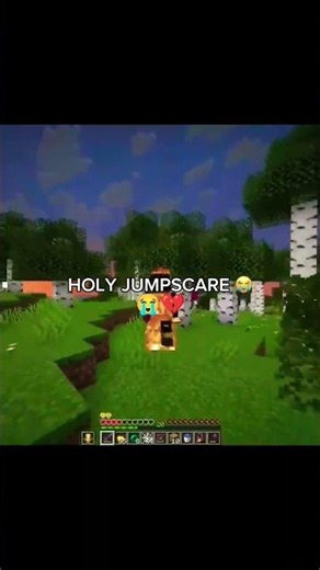HOLY JUMPSCARE BRO 😭 💔 Minecraft Unstable Smp #shorts #memes
