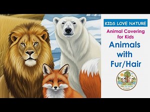 🦁 Animals with Fur or Hair for Kids | Animal Coverings for Kindergarten | Why Do Animals Have Fur?