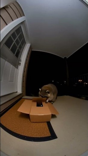 This Is Why I Check My Camera