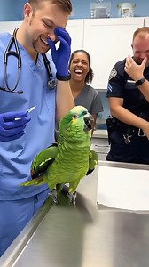 The Dramatic Parrot at the Vet! #Parrot #Comedy #Funny #funny | Wild Rescue TV