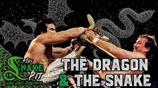 Jake Roberts vs. Ricky Steamboat WWF The Big Event 1986.08.28