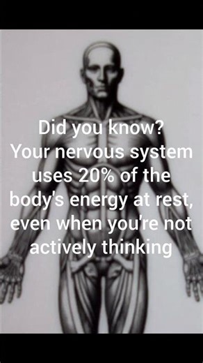 How the Human Body Works #HumanBody #BodyScience #Learning