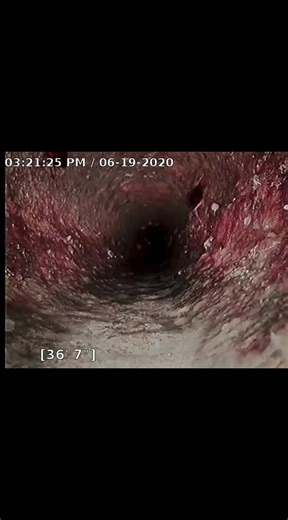 Understanding Failing Sewer Lines and Home Maintenance