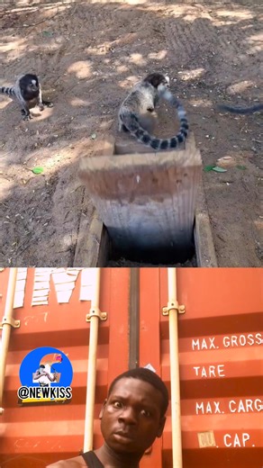 920K views · 15K reactions | Say bye to ur friends 藍 FB Creator Support New Kiss #personalgrowth #communitysupport #communitysupport #CommunityEngagement | New Kiss | Facebook