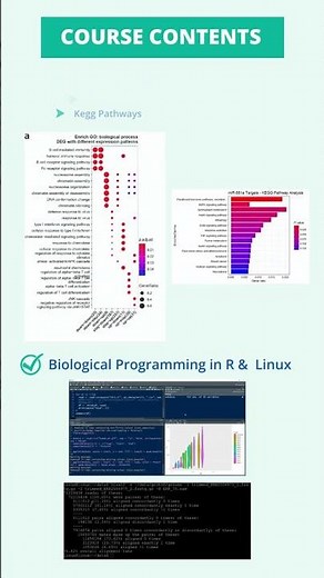 RNA Seq Data Analysis With Linux & R Course