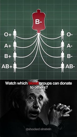 Which blood groups can be donated to others? #shorts #youtubeshorts #science #fyp #nature