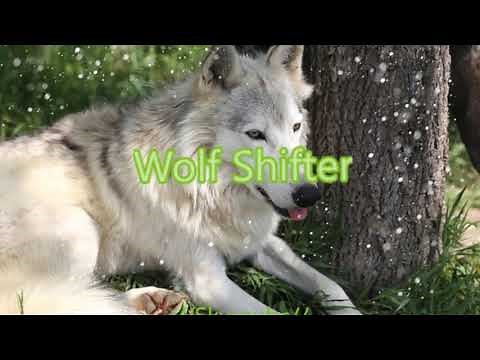 wolf shifter subliminal (extremely powerful) | SkyySubs