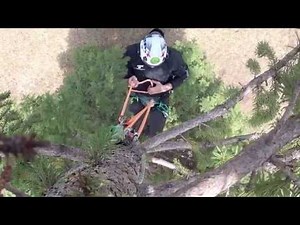 Hitch Climbers' Guide to the Canopy part 1