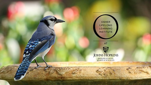 Osher Lifelong Learning Institute & Community