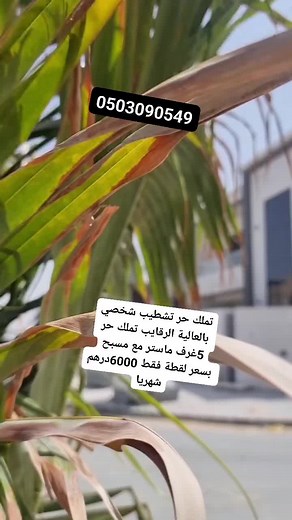 1.2K views | للمعاينه والتواصل 0503090549 للبيع عجمان.. تملك حر...