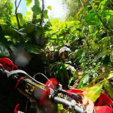 Almost Crashed into Camo Rider in Hawaii