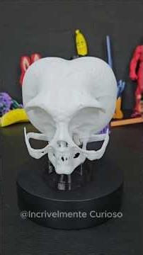 IMPRIMI ARQUIVO SECRETOS de ALIENS em 3D