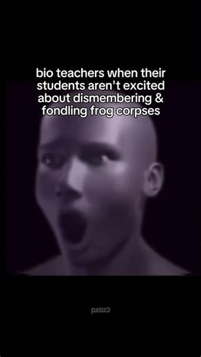 dissecting animals is unhinged tbh