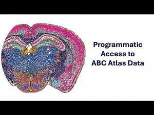 Programmatic Access to ABC Atlas Data