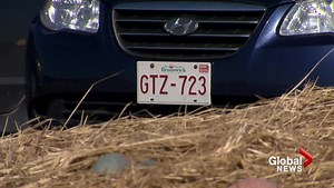 Front license plate removal decision criticized by N.B. police