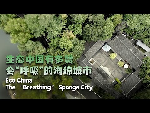 Eco China: The 'breathing' sponge city