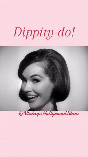 Dippity-Do Hair Gel: The 1965 Setting Lotion