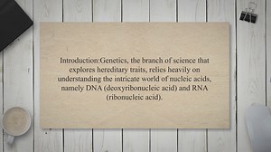 Differences between DNA and RNA in genetics