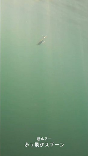 ぶっ飛びスプーン 【サーフルアー水中映像シリーズ 】